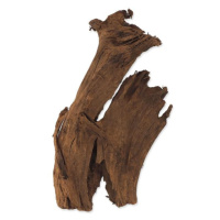 Dekorácia Repti Planet Koreň DriftWood Bulk M 29-36cm