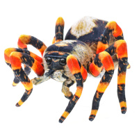 Pavúk hnedý plyšový 25cm