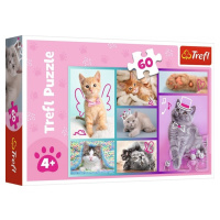 Trefl puzzle 60 dielikov - Roztomilé mačky