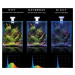Akvarijný set Aquael SHRIMP SMART Day & Night čierny 20x20x25cm 10l