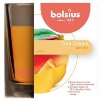 Sviečka bolsius Jar True Scents 95/95 mm, mango