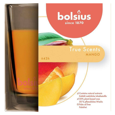 Sviečka bolsius Jar True Scents 95/95 mm, mango