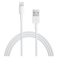 Apple Lightning to USB Cable 1