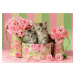 Educa puzzle Kittens with Roses 500-dielne s fix lepidlom 17960