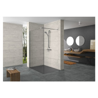 Sprchová zástena Walk-In 160 cm Hüppe Design pure SIKOKHWI160