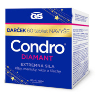 GS Condro diamant 100 + 60 tabliet navyše