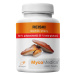 MYCOMEDICA Reishi 50% 90 kapsúl