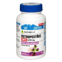 NATUREVIA Pestrec mariánsky forte 6250 mg 60 kapsúl