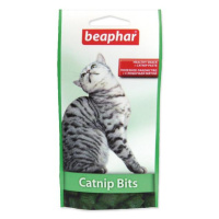 Pochúťka Beaphar Catnip Bits šanta 35g