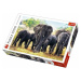 TREFL Puzzle Afričtí sloni 1000 dílků