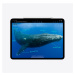 Apple 13-inch iPad Pro (M4) WiFi 512GB Space Black, MVX43HC/A