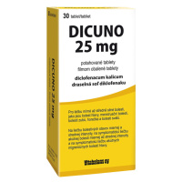 DICUNO 25 mg tablety 30 ks