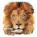 Puzzle Lion face shape Educa 375 dielov a Fix lepidlo od 11 rokov