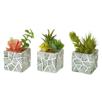 Umelé rastliny v súprave 3 ks (výška  12 cm) Cactus – Casa Selección