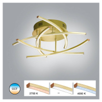 Stropné svietidlo LED Cross Tunable White, 5-fl, mosadz