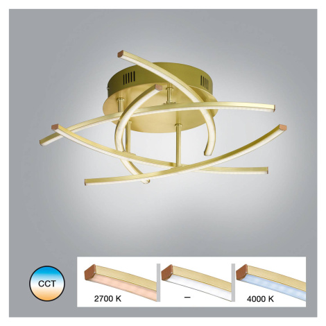 Stropné svietidlo LED Cross Tunable White, 5-fl, mosadz