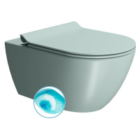 GSI GSI, PURA závesná WC misa, Swirlflush, 36x55cm, ghiaccio dual-mat, 881515