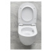 GSI GSI, PURA závesná WC misa, Swirlflush, 55x36 cm, biela dual-mat, 881509