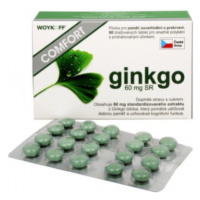 WOYKOFF Ginkgo comfort 60 mg 60 tabliet