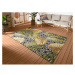 Vonkajší koberec 200x285 cm Flair – Hanse Home