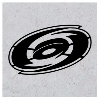 Drevený obraz - Logo Carolina Hurricanes, Čierna