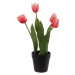 Umelý kvet (výška  31 cm) Tulips – Ixia