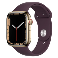 Apple Watch Series 7 Cellular 45mm oceľ