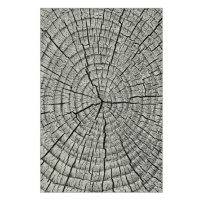 Sconto Koberec KOLIBRI 4 sivé drevo, 120x170 cm
