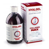 Hyalgel Collagen MAXX 500 ml