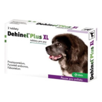 DEHINEL Plus XL 2 tablety