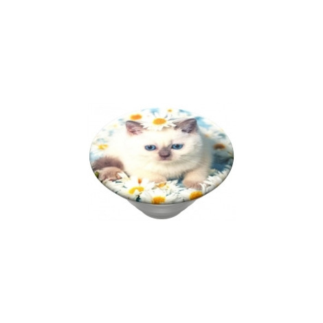 PopSockets PopTop Gen.2, Purr-fect Flower, mačiatko v margarétkach, výmenný vršok