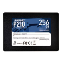 PATRIOT P210/256GB/SSD/2.5