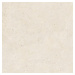 Biophilic white 60x60 8,5MM GRIP rett.