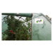 Záhradný fóliovník 3,5m x 2m x 2m GARDEN LINE – TUN5576