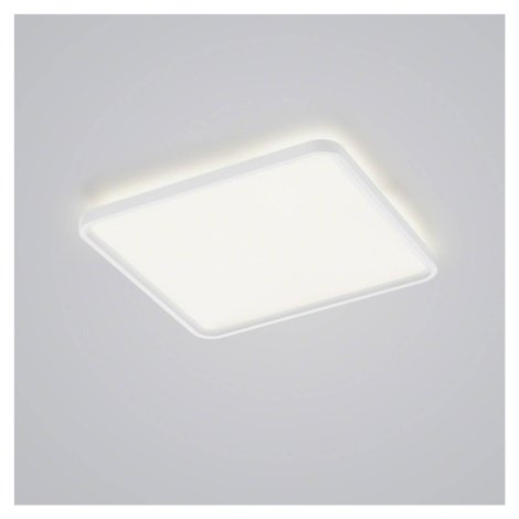 Helestra Vesp LED panel backlight 61x61 cm biela