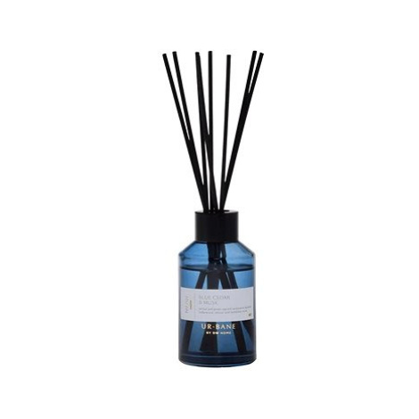 DW Home Blue Cedar & Musk 100 ml