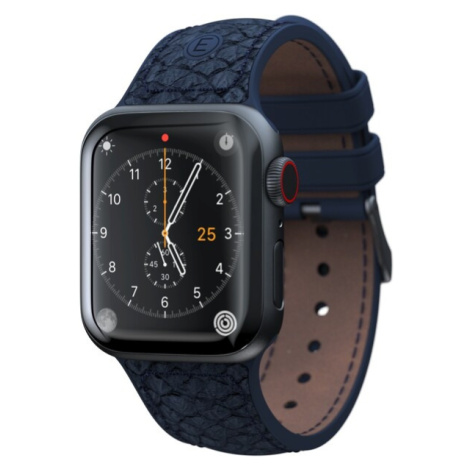 NJORD Vatn Apple Watch Strap 40mm blue
