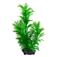 Dekorácia Tetra Rastlina Green Cabomba S 15cm