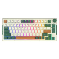 Klávesnica Royal Kludge RKH81 RGB wireless mechanical keyboard, Sky cyan switch (green)