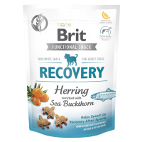 BRIT Care Dog Functional Snack Recovery Herring sleď s rakytníkom pre psov 150 g