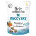 BRIT Care Dog Functional Snack Recovery Herring sleď s rakytníkom pre psov 150 g