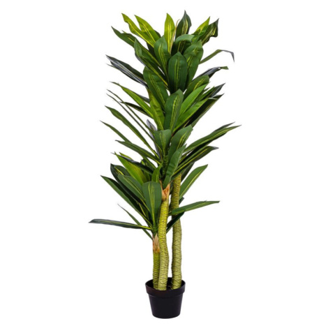 PLANTASIA 85196 Umělý strom Dracaena 120 cm, 81 listů