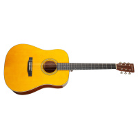 Tanglewood TW40 D AN E