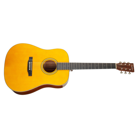 Tanglewood TW40 D AN E