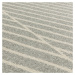 Svetlosivý koberec 200x290 cm Muse – Asiatic Carpets