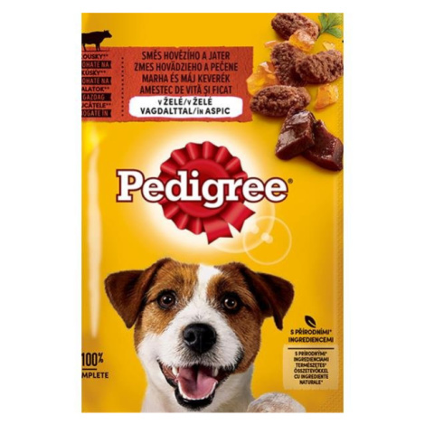 Mars PEDIGREE kapsička dog ADULT zmes hovädzieho a pečene v želé 24 x 100 g