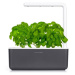 Click and Grow Smart Garden 3 šikovný kvetináč + 3ks kapsúl so semienkami bazalky sivý