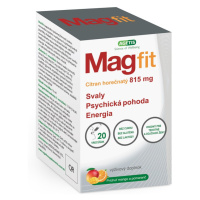 MAGFIT mango a pomaranč gel 20 vrecúšok