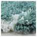 Kusový koberec Alvor Shaggy 3401 blue Rozmery koberca: 140x200