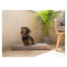 Animood Vodeodolný ortopedický matrac pre psov MELMAN sivý Zvoľte rozmer: XL